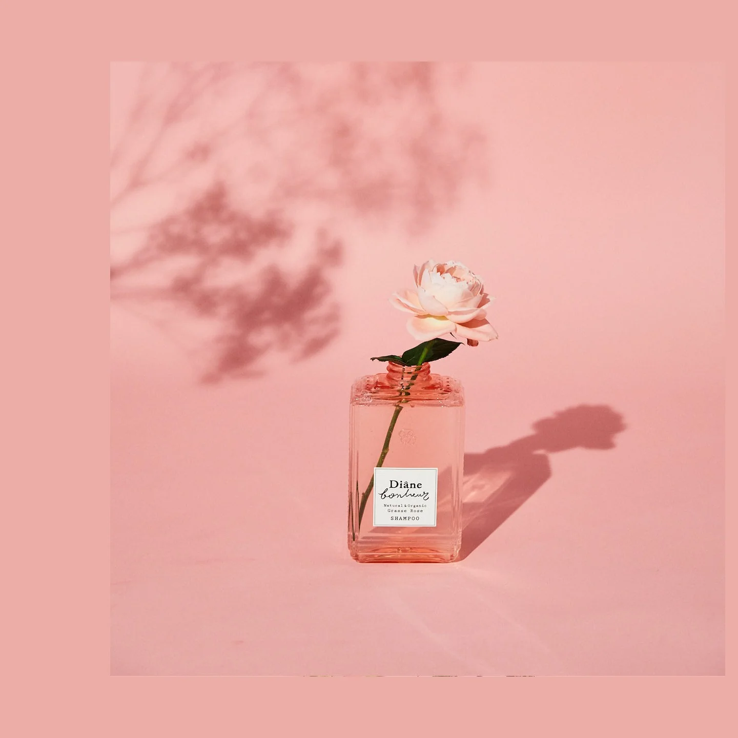 Diane Bonheur Grasse Rose Shampoo - Image 2