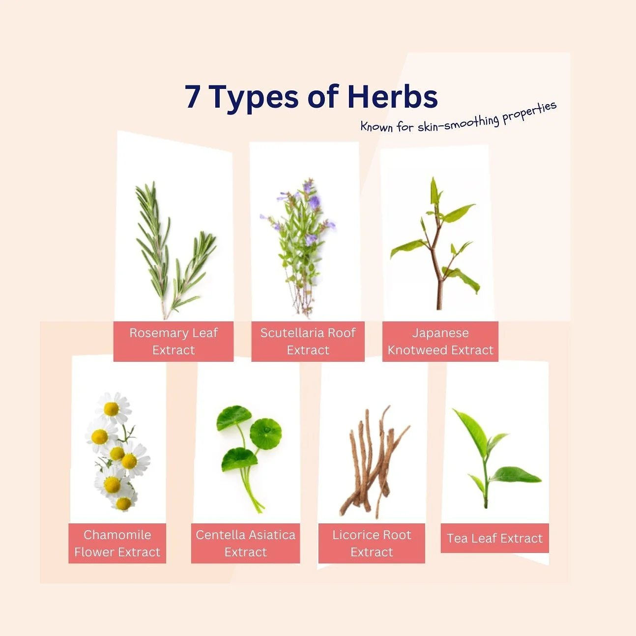 LULULUN Hydra-V Sheet Mask Vitamins (Multifaceted Care) - Image 4